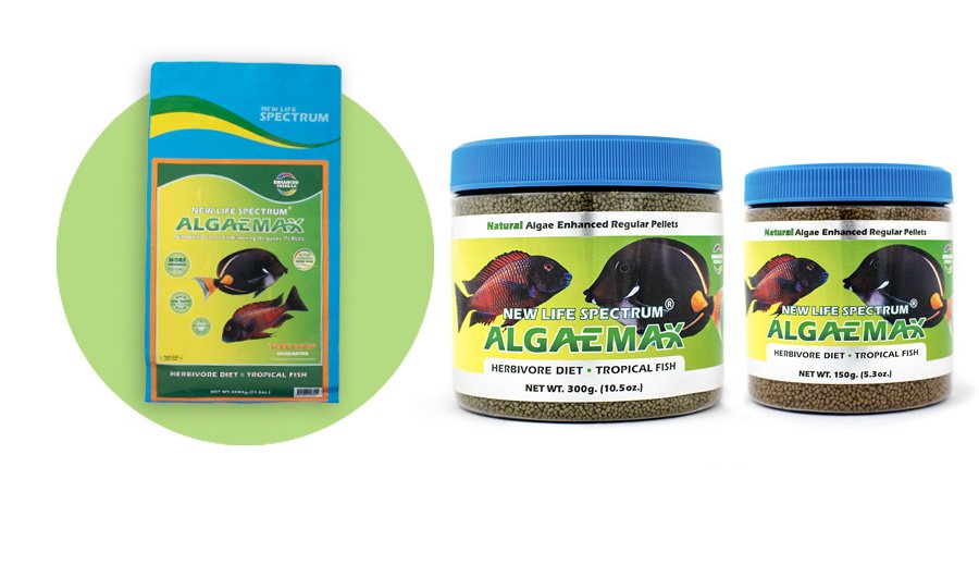 NEW LIFE SPECTRUM® ALGAEMAX REGULAR - Granules