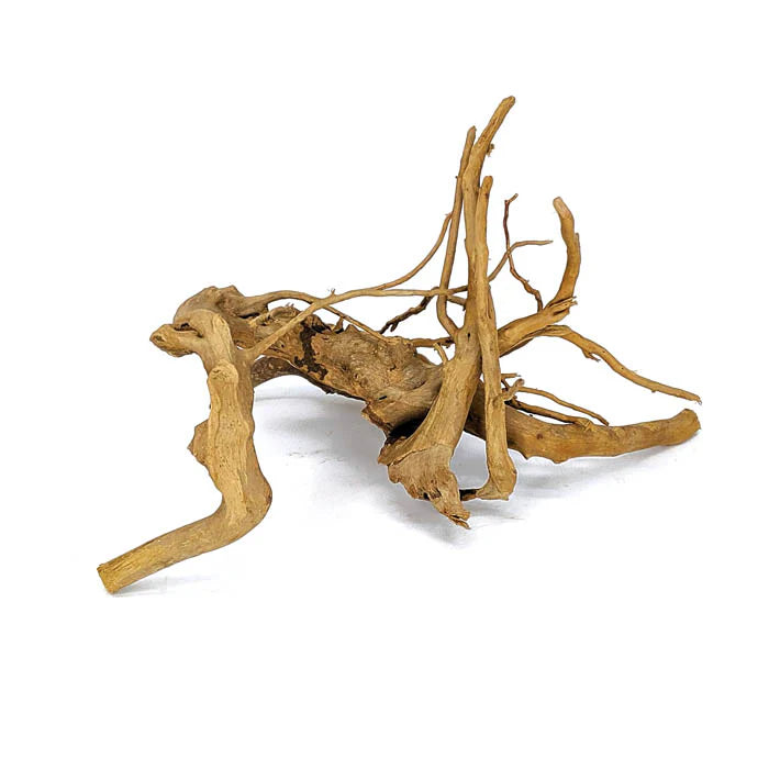 Spider Wood