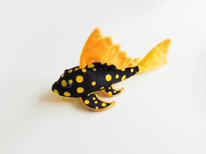 Sunshine Pleco - 25-33cm