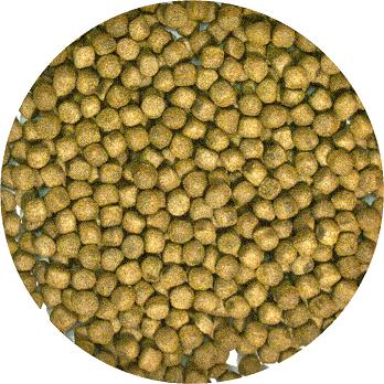 Zoo Med Aquatic Turtle Food – Maintenance Formula