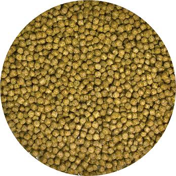 Zoo Med Aquatic Turtle Food – Growth Formula