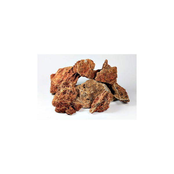 Maple lead Rock