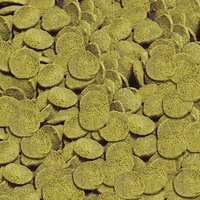 Sera Catfish Chips - Tablets