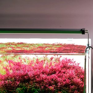 Chihiros LED B Series
