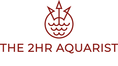 2Hr Aquarist