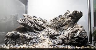 Rocks Hardscape