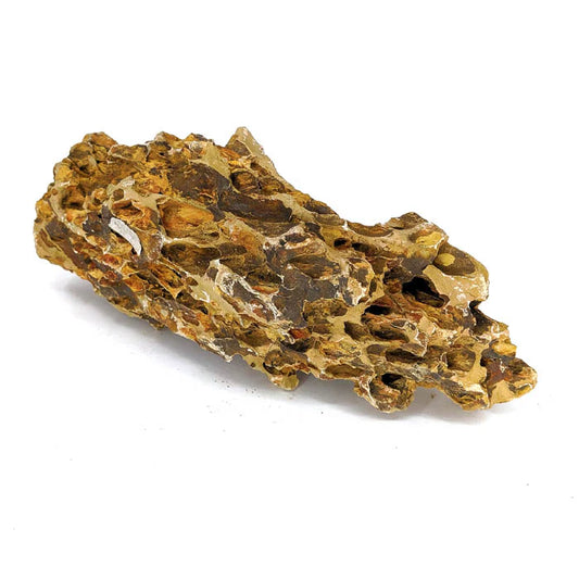 Dragon Stone