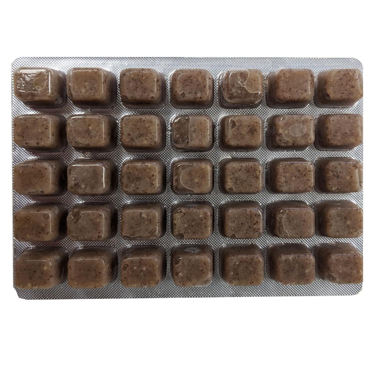 Mysis 100gm -Frozen