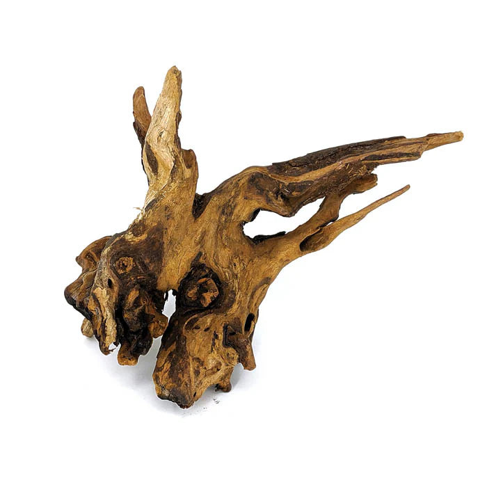 Pacifica Wood
