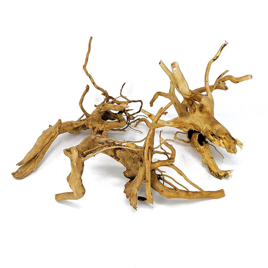 Spider Wood