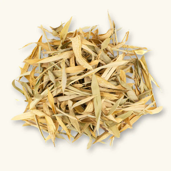 Bamboo Leaves Botanical - 10 pack