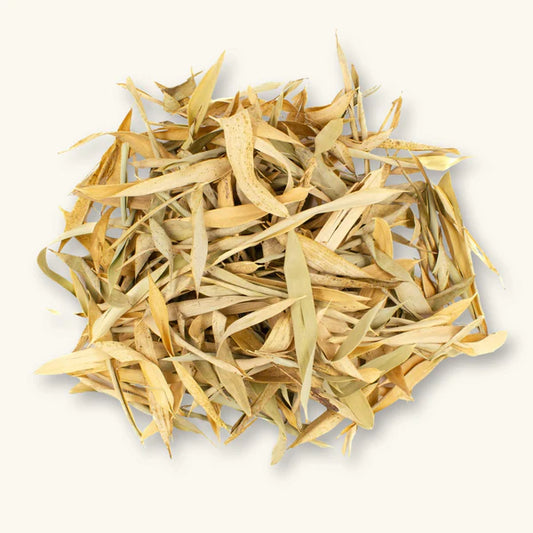 Bamboo Leaves Botanical - 10 pack