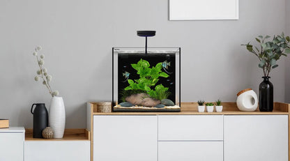 Waterbox Cube 10 Aquarium