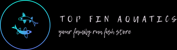 Top Fin Aquatics