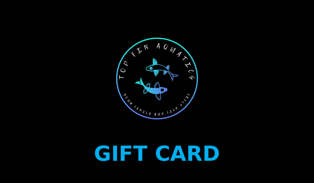 Top Fin Aquatics gift card